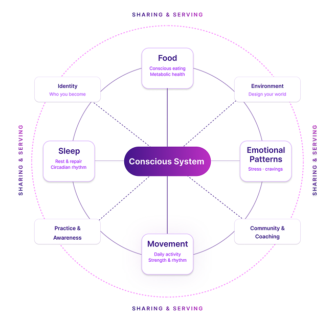 The Five-Component Framework - Conscious Living
